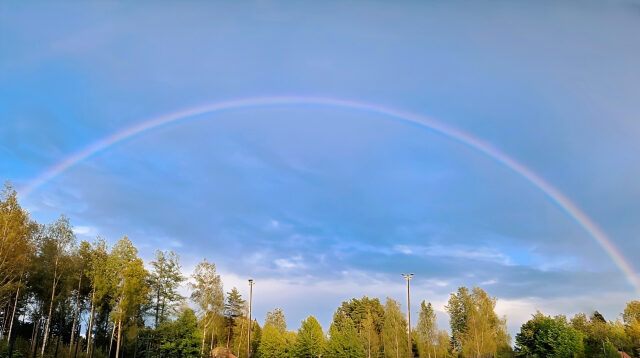 ニューロダイバーシティ・パラダイムとは？ニューロダイバーシティとの違いも解説